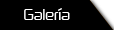Galer&iacute;a
